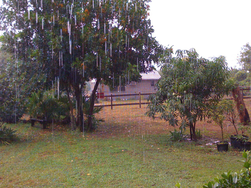 rain