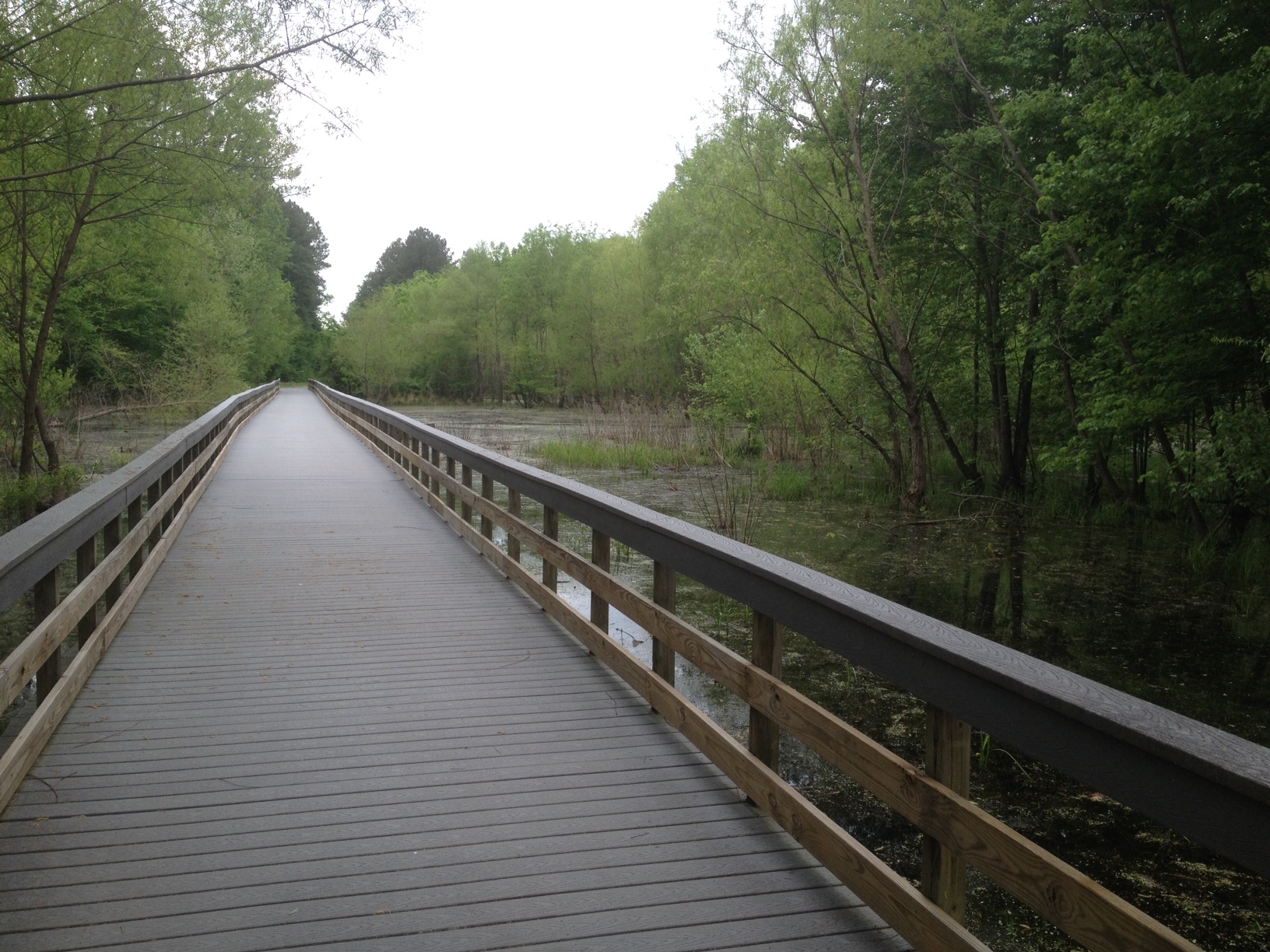 NeuseRiverTrail_1.jpg